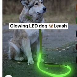 Glowing LED Dog 🐶 Leash 