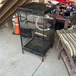 Bird Cage