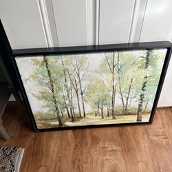 Framed canvas
