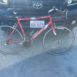 Giant Road Bike