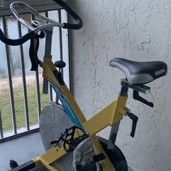 Lemons Spin Bike 