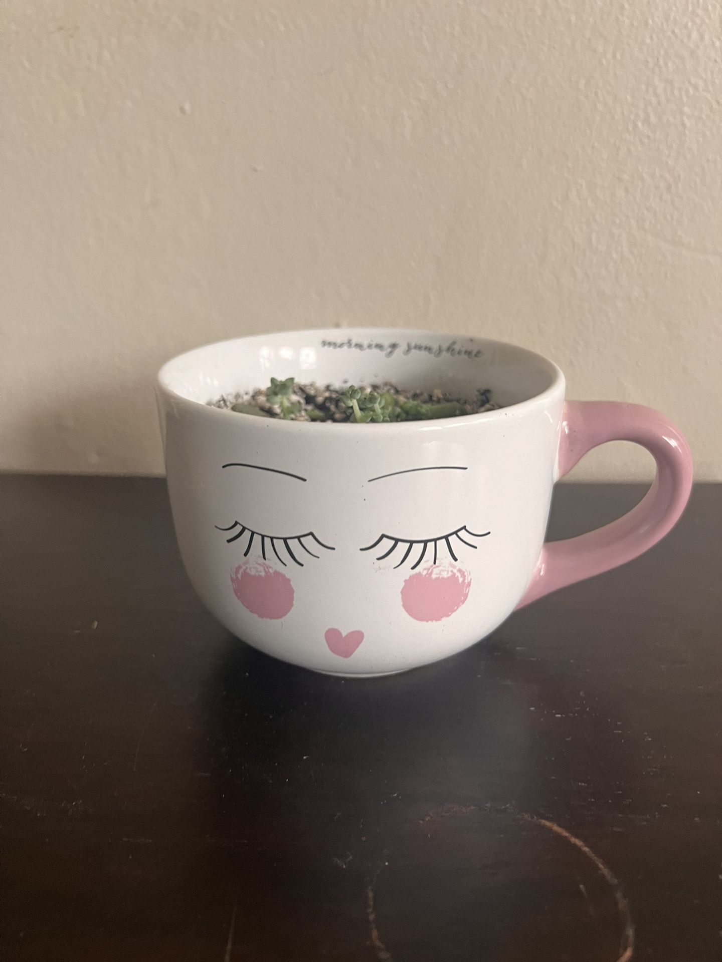 Mug Succulent Plant Garden