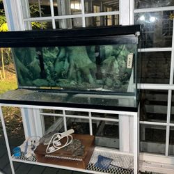 Aquarium 
