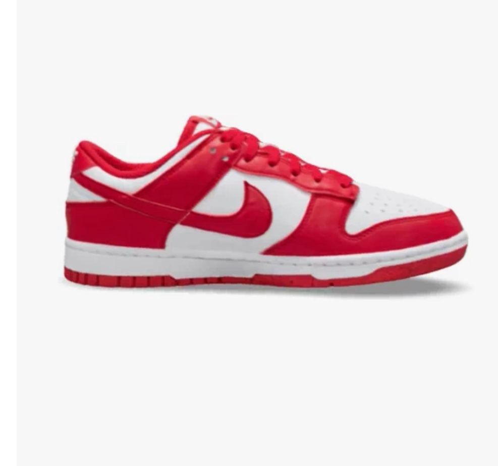 Nike Dunk Low Next Nature Women's Shoes