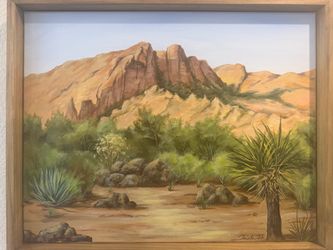 Peace in the desert
