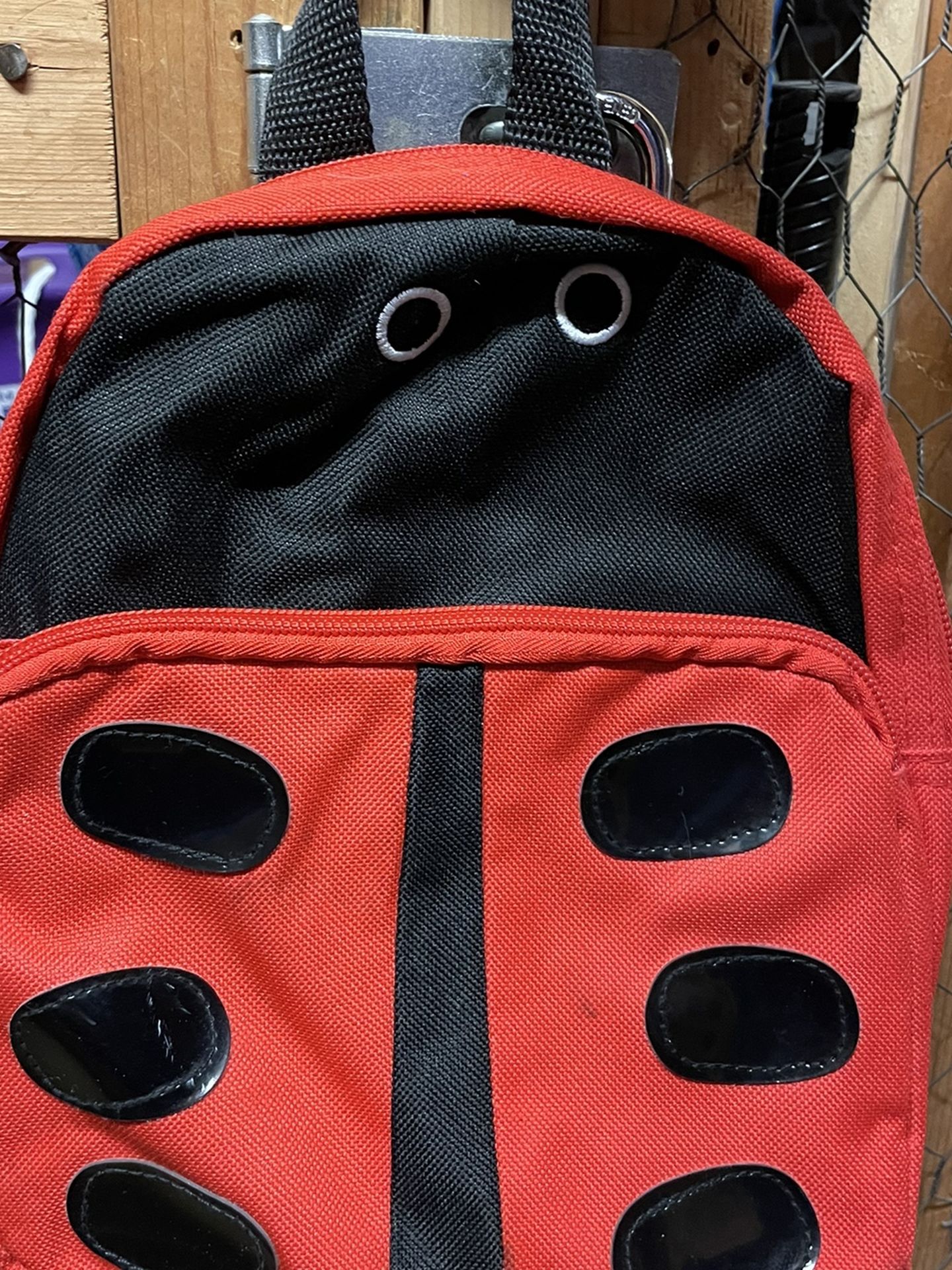 Ladybug Backpack