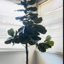 Indoor Fake Plant 