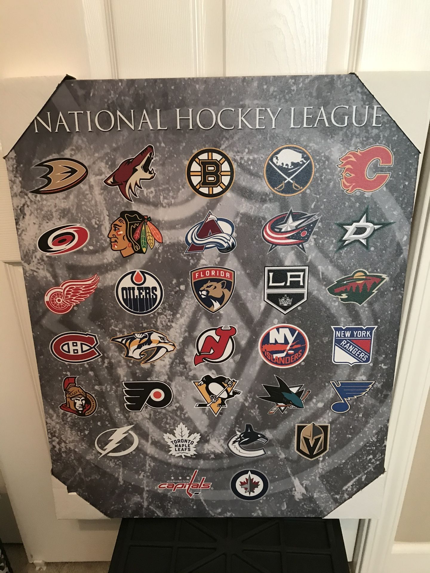 Hockey Team Canvas Print