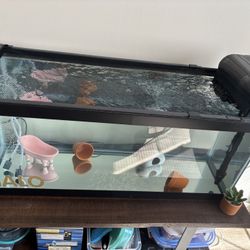 Tank 
