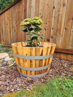 Stained Oak Wine Barrel Planters with Weed fabric and drainage holes.