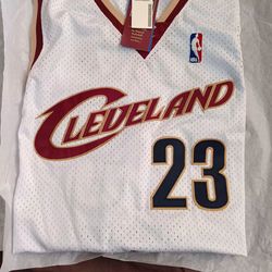 Mitchell and Ness LeBron James Rookie Season  Cleveland Cavaliers NBA Jersey