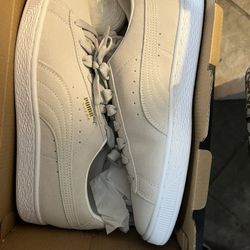 Pumas 