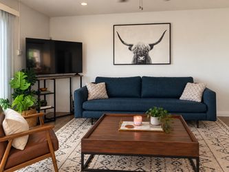 Navy sofa