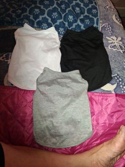Dog shirts