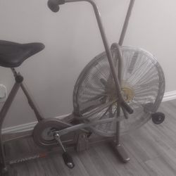 Schwinn Fan Bike 