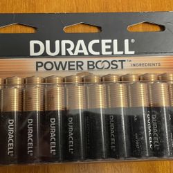 Coppertop Batteries AA 24 Pack $12