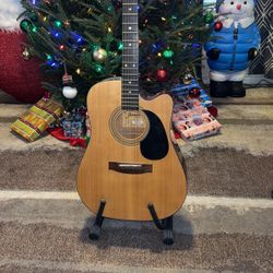 Jasmine Acoustic Guitar