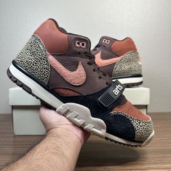 Nike SB Trainer 1  