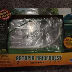 (BRAND NEW) Ant Farm 