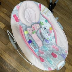 Baby Bouncer