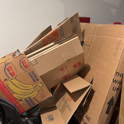 FREE MOVING BOXES 