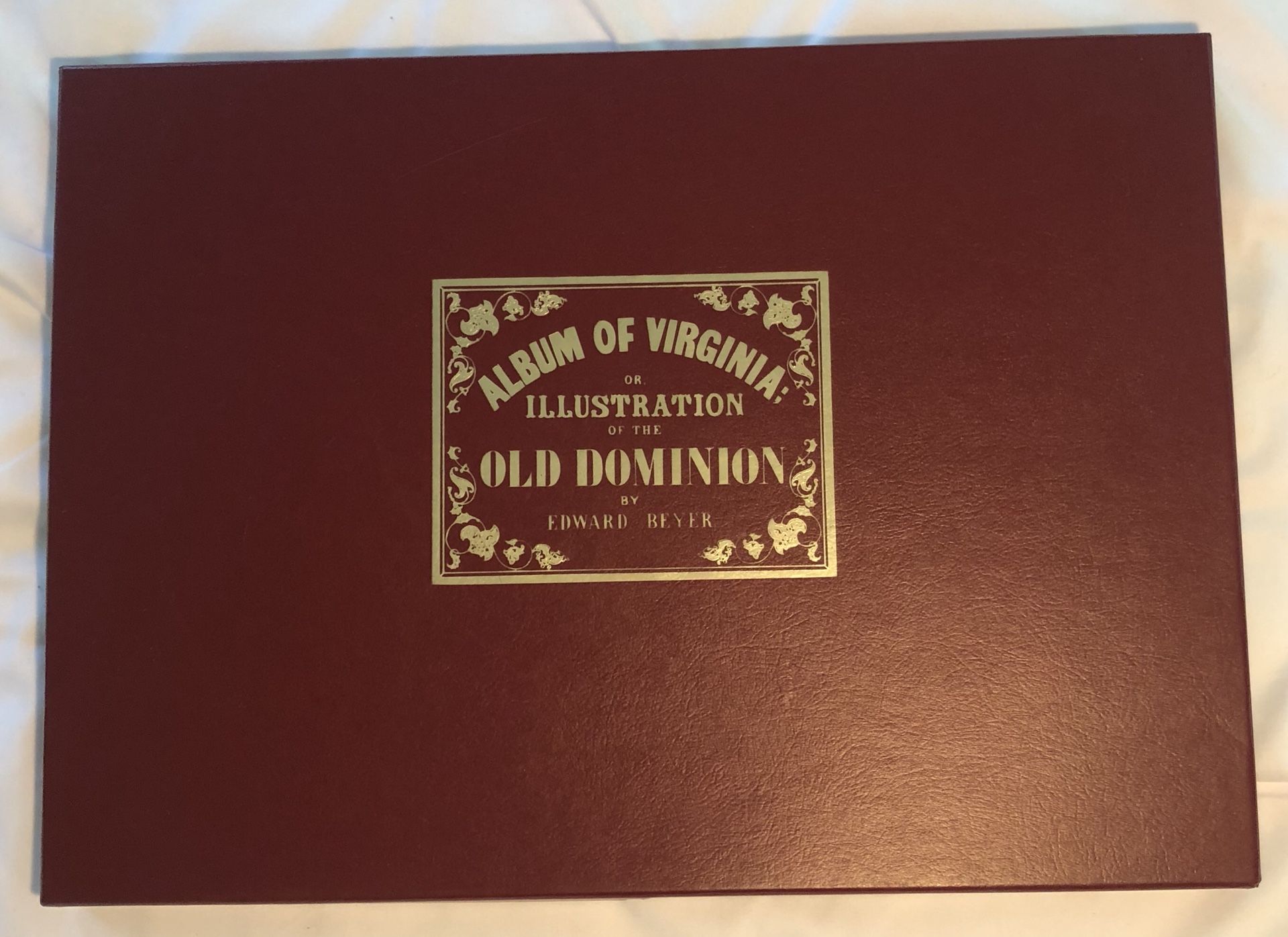 Album of Virginia; or, Illustration of the Old Dominion by Beyer, Edward