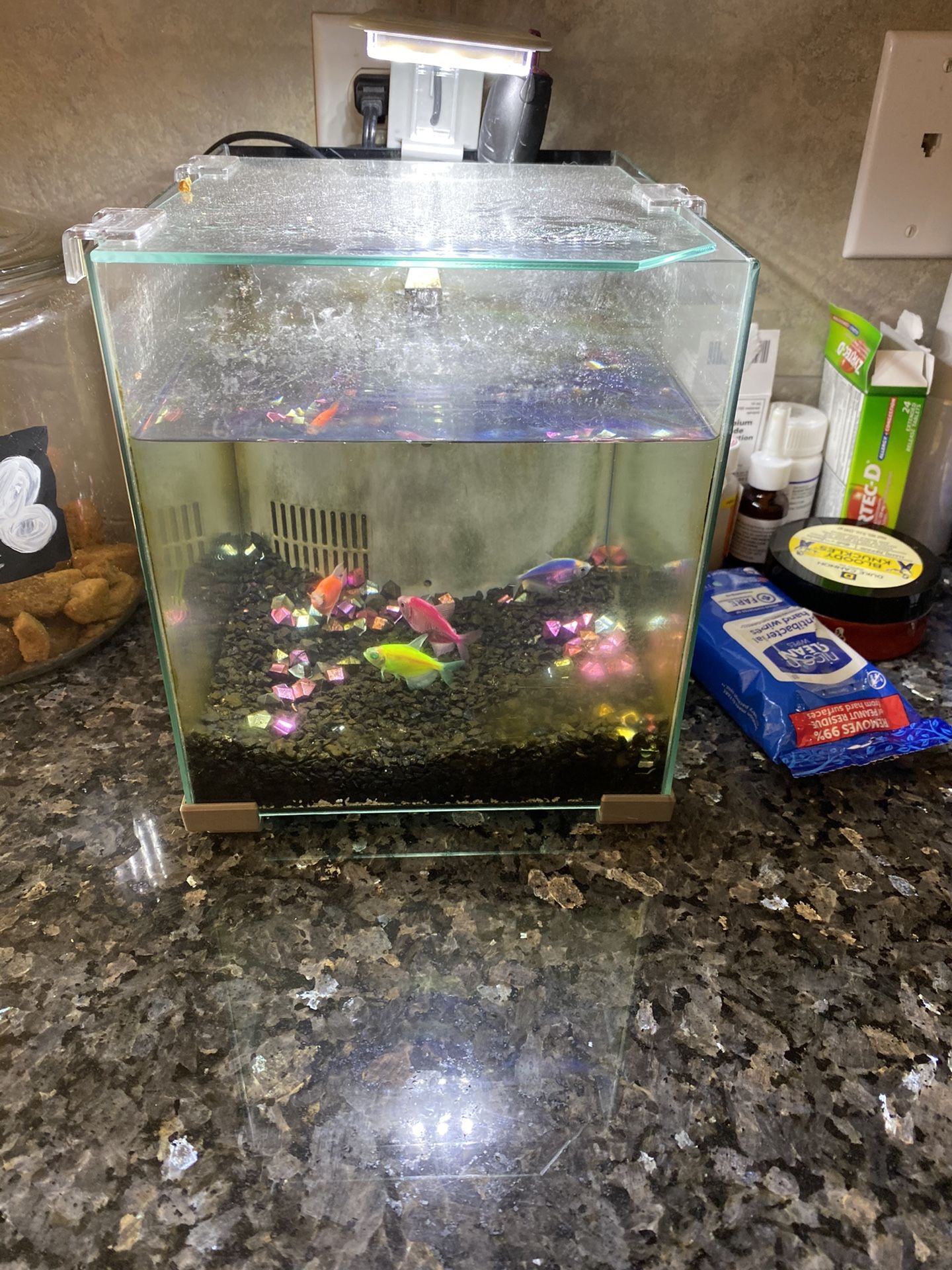 Free fish tank and fish for Sale in Graham, WA OfferUp