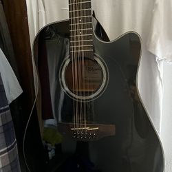 12 String Takamine G Series