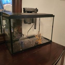 5 Gallon Fish Tank