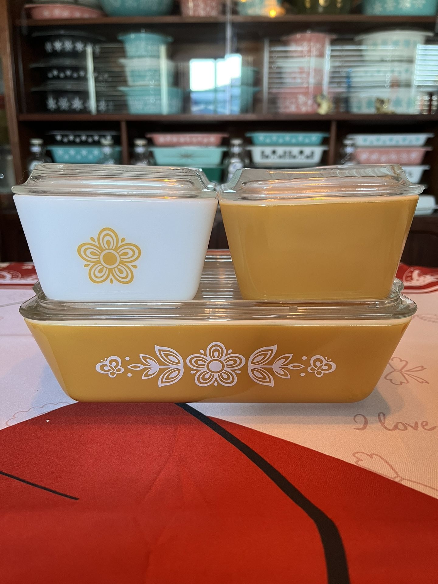 Vintage Pyrexx Full Set Butterfly Gold Fridges