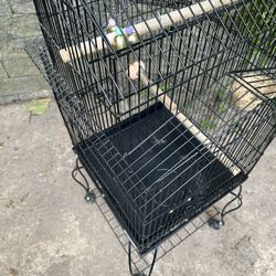 Large Bird Cage