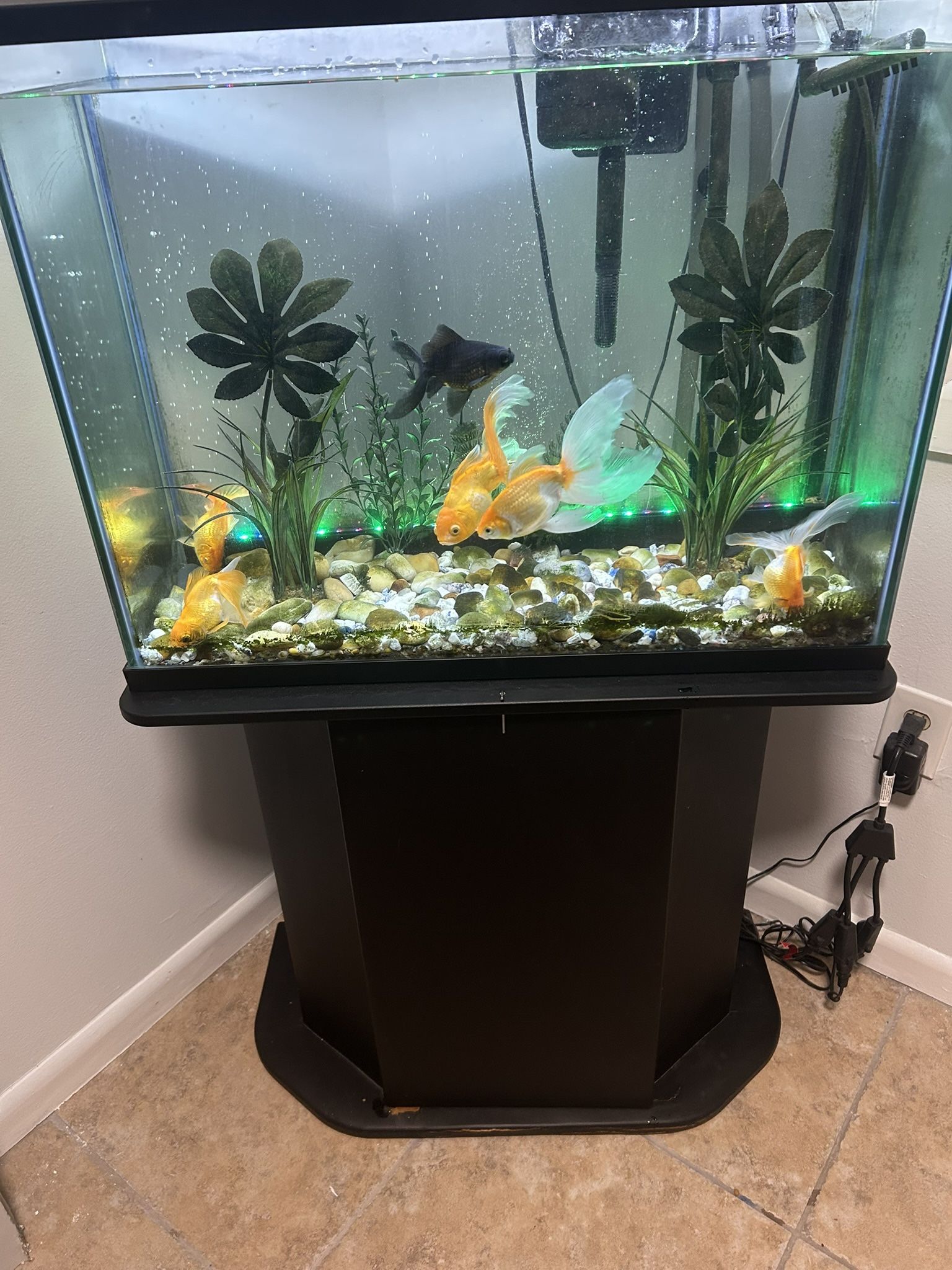 Fish tank in great condition with stand included. No leaks clear glass and fully ready to use. Comes with lid filter décor inside and everything