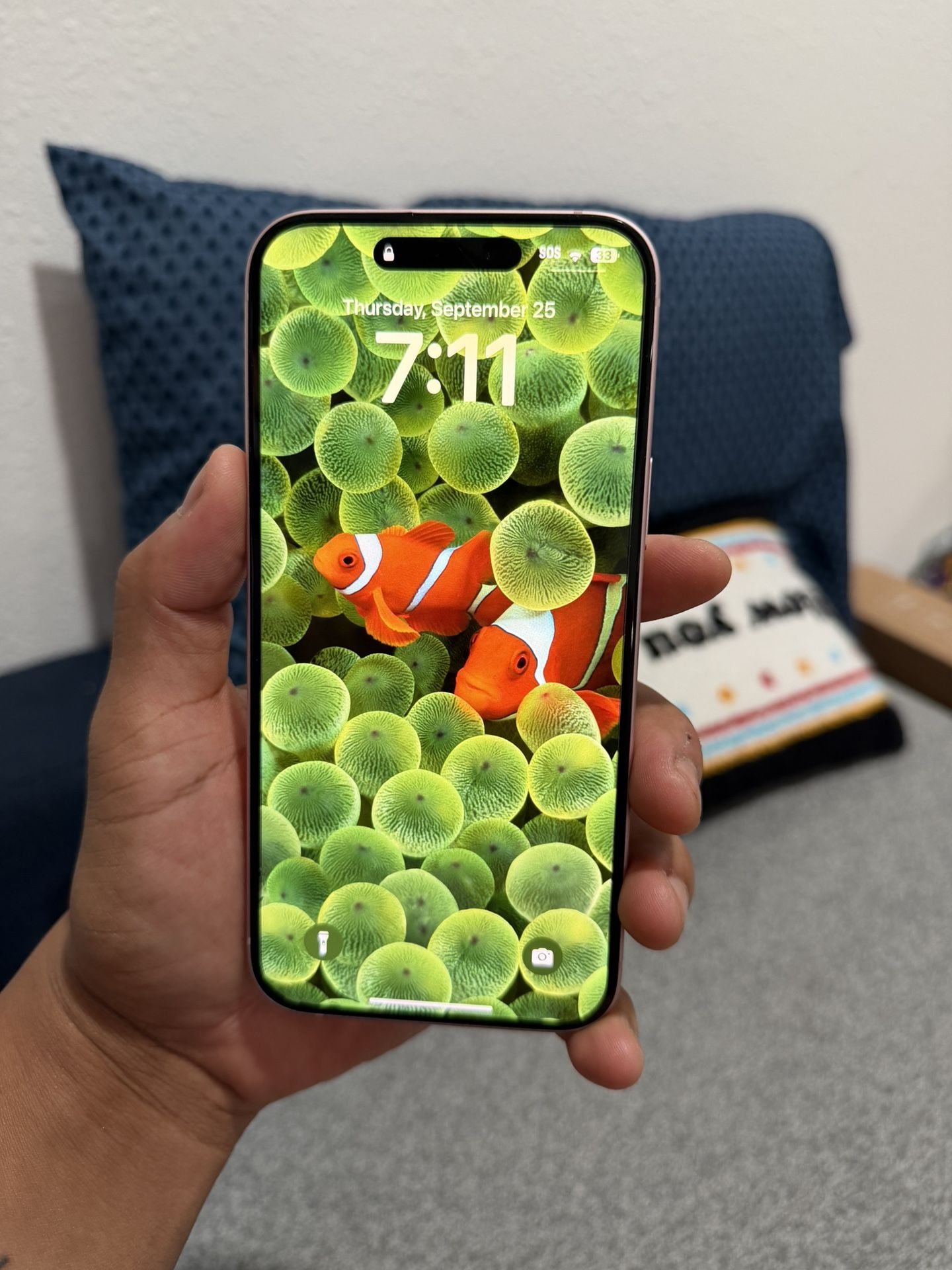 iPhone 15 Plus