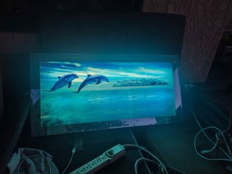 Dolphins all decor