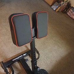 NEW SISSY SQUAT/BACK EXTEND MACHINE