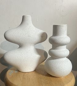 Ceramics Vase 