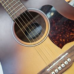 Acoustic Guitar 