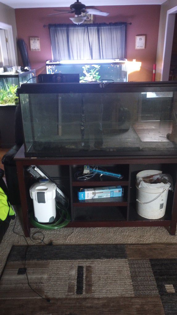 55 Gallon Aquarium Set Up... 