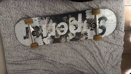Used Skateboard From Zumiez