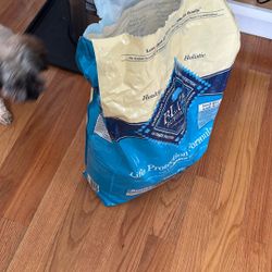 Dog Food 