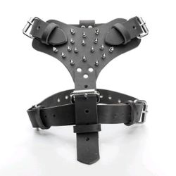 Dog Harness