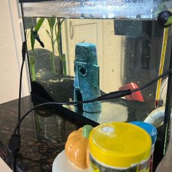 10 Gallon Fish Tank 
