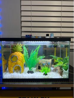 3 Gallon fish tank