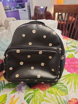 Small back pack