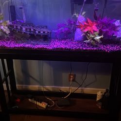 55 G Aquarium Comes With 2 Filters Air Pump Under Gravel Filter Gravel And A Siphon