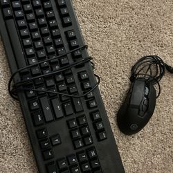 keyboard & mouse