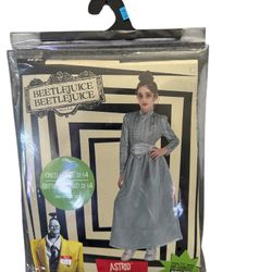 Beetlejuice Astrid Costume Large 12-14