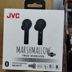 Earplugs (JVC Original)