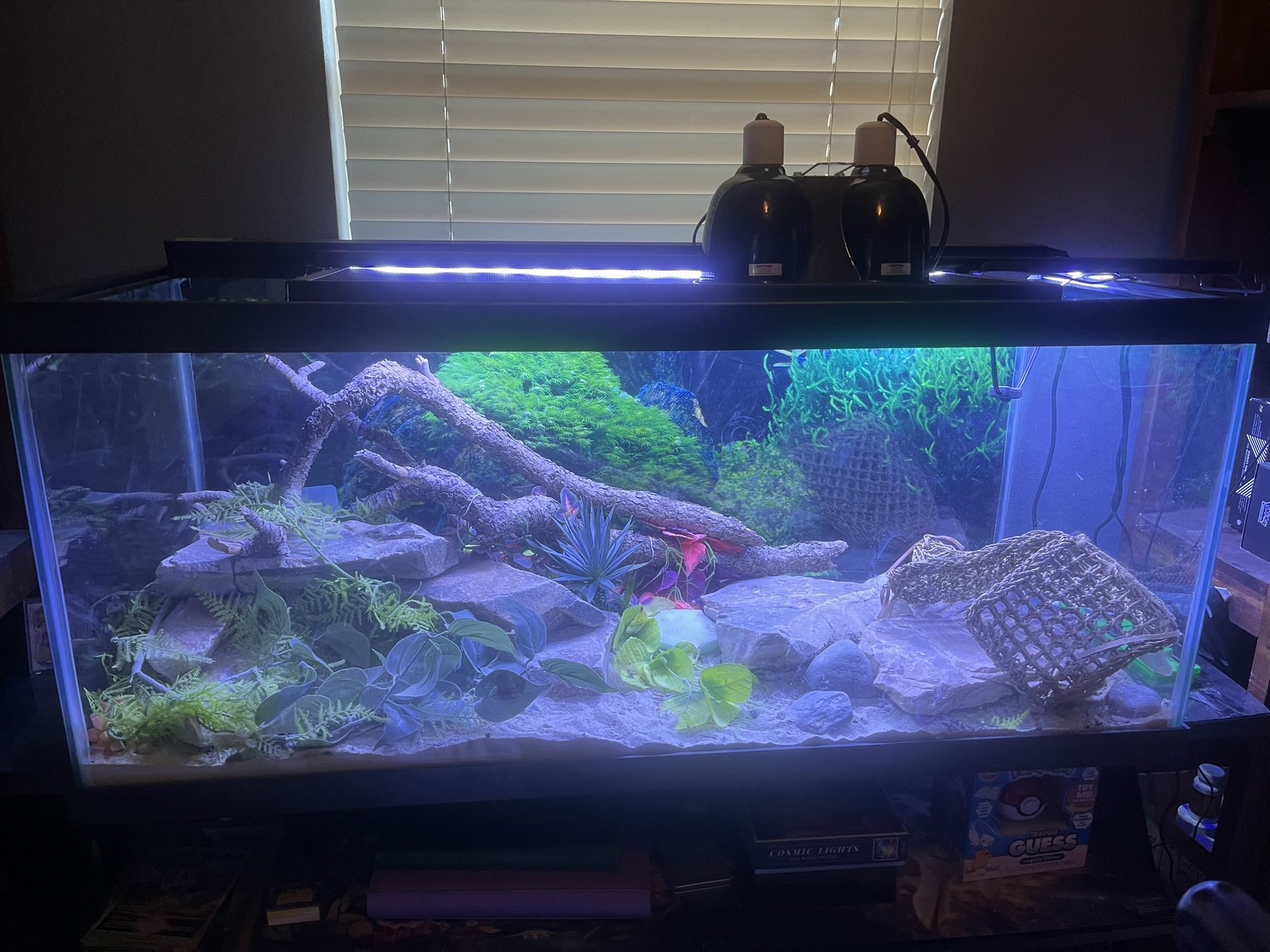 120 Gallon Tank With Accessories 