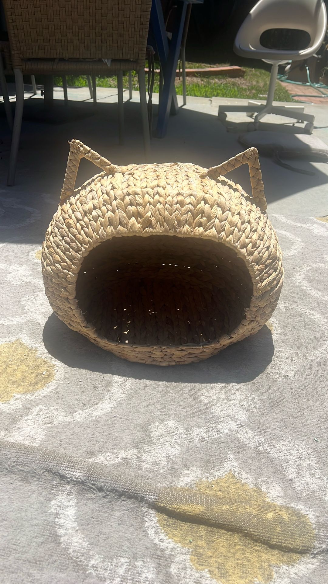 Cat Bed